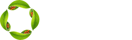 تريما فالي — Trema Valley